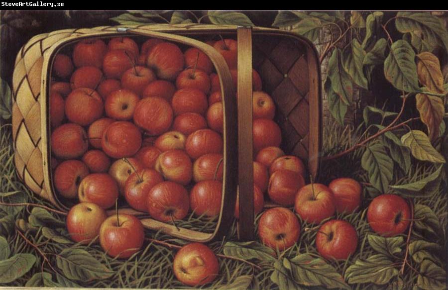 Levi Wells Prentice Country Apples